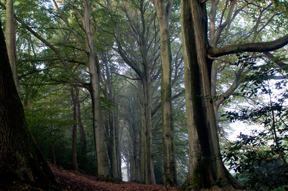 Natuur