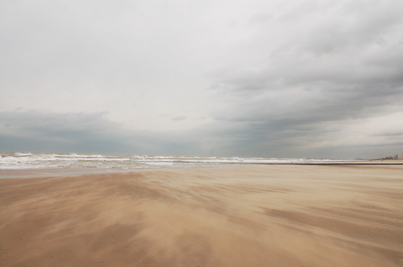Natuur4