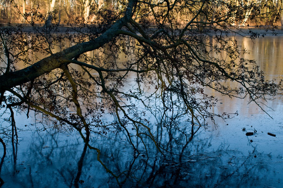 Natuur7